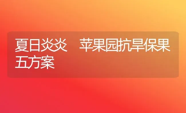 夏日炎炎 苹果园抗旱保果五方案 | 瓜果种植