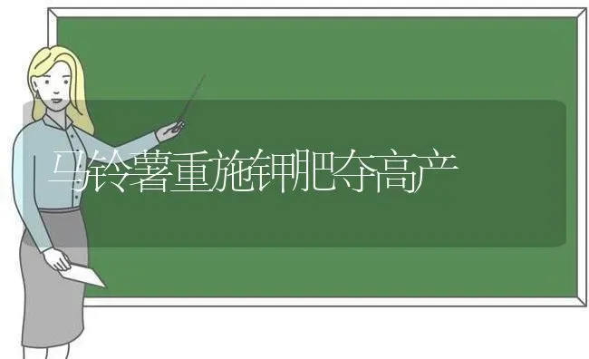 马铃薯重施钾肥夺高产 | 粮油作物种植