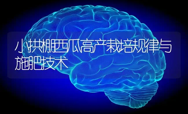 小拱棚西瓜高产栽培规律与施肥技术 | 种植肥料施肥