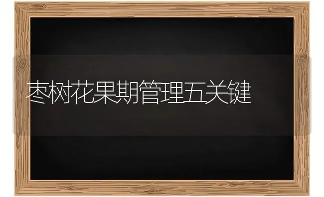 枣树花果期管理五关键 | 瓜果种植
