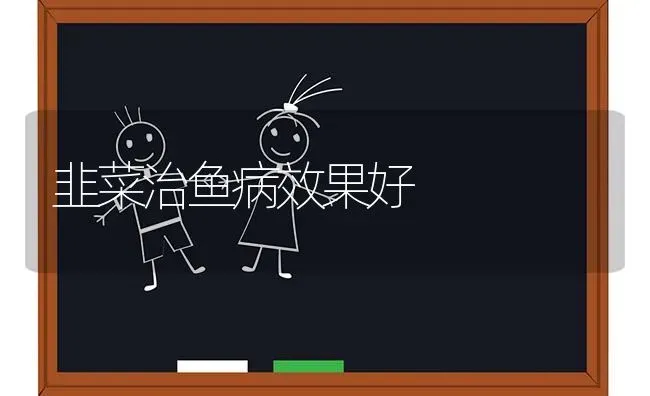 韭菜治鱼病效果好 | 瓜果种植