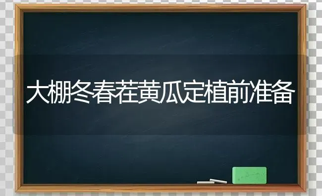 大棚冬春茬黄瓜定植前准备 | 蔬菜种植