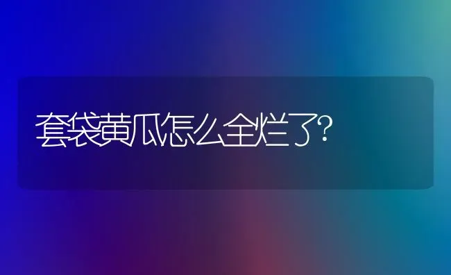 套袋黄瓜怎么全烂了? | 蔬菜种植