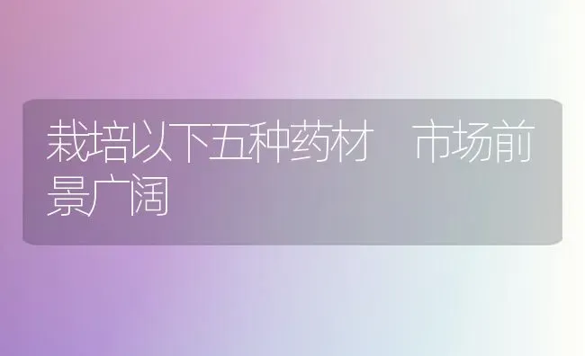 栽培以下五种药材 市场前景广阔 | 药材种植