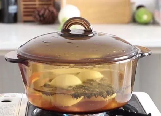 功效常识|三七花有什么作用和功效  三七花有什么药效功能