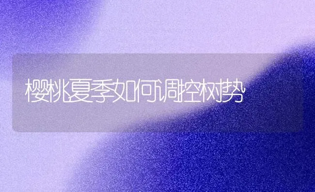 樱桃夏季如何调控树势 | 瓜果种植