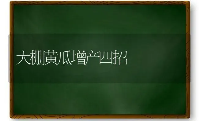 大棚黄瓜增产四招 | 蔬菜种植