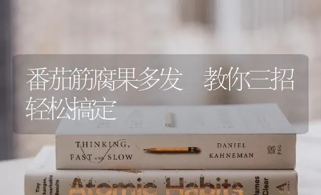 番茄筋腐果多发 教你三招轻松搞定 | 瓜果种植