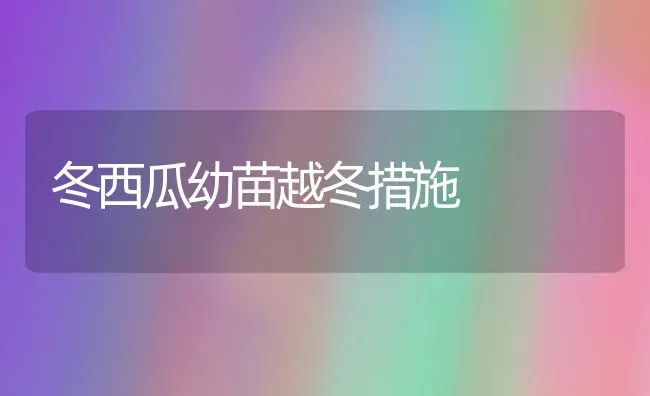 冬西瓜幼苗越冬措施 | 瓜果种植