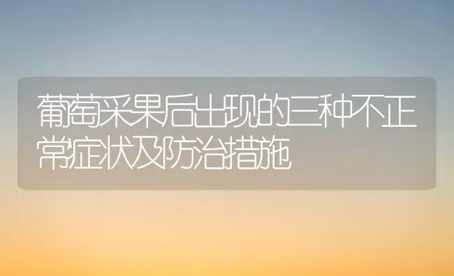 葡萄采果后出现的三种不正常症状及防治措施 | 瓜果种植