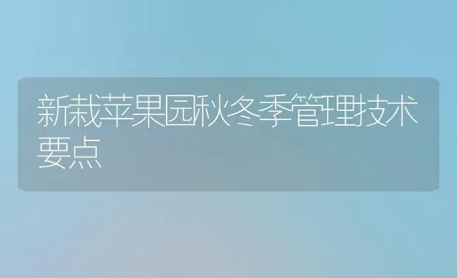 新栽苹果园秋冬季管理技术要点 | 瓜果种植