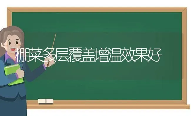 棚菜多层覆盖增温效果好 | 瓜果种植