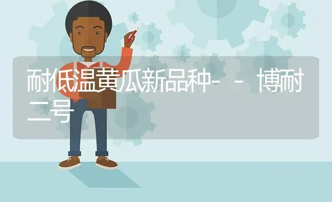 耐低温黄瓜新品种--博耐二号 | 蔬菜种植