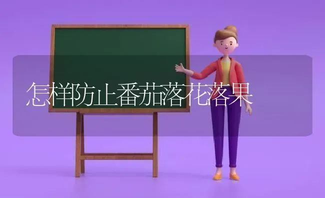 怎样防止番茄落花落果 | 瓜果种植