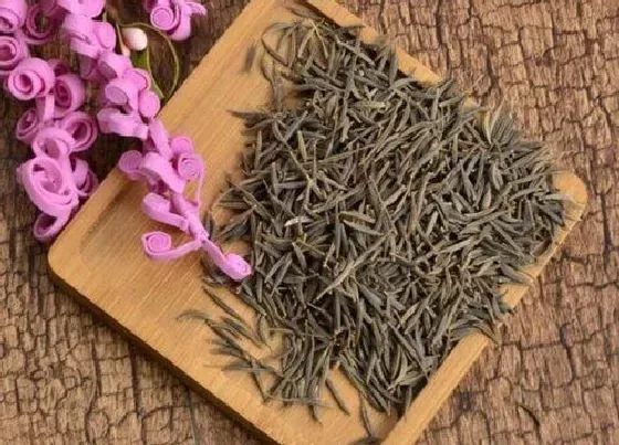 植物毒性|格桑花种子有毒吗