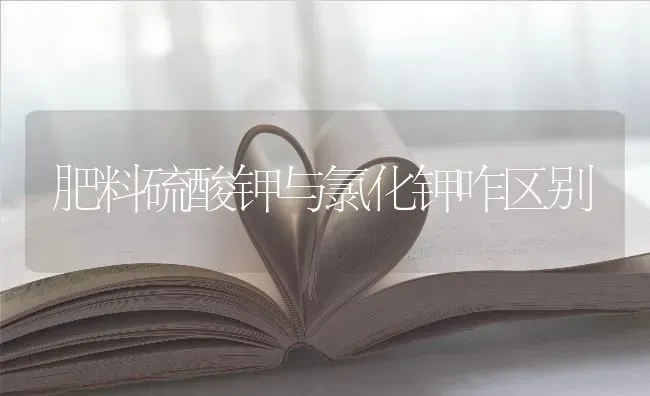 肥料硫酸钾与氯化钾咋区别 | 种植肥料施肥