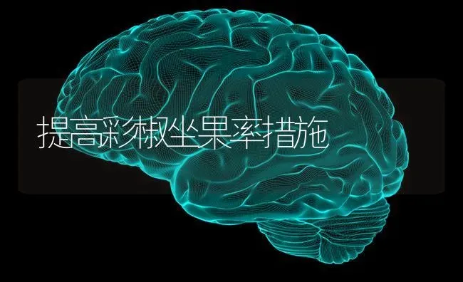 提高彩椒坐果率措施 | 瓜果种植