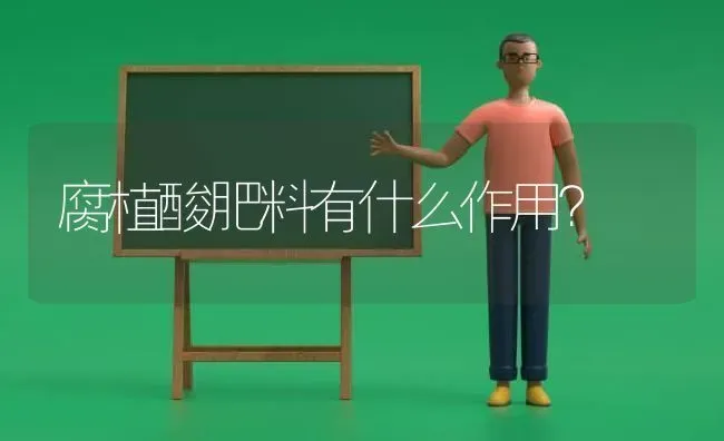 腐植酸肥料有什么作用？ | 种植肥料施肥