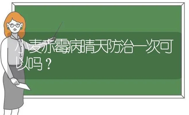 小麦赤霉病晴天防治一次可以吗？ | 粮油作物种植