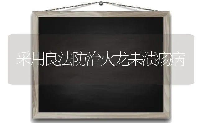 采用良法防治火龙果溃疡病 | 瓜果种植