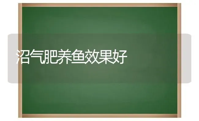 沼气肥养鱼效果好 | 瓜果种植