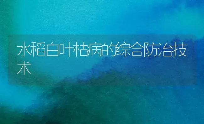 水稻白叶枯病的综合防治技术 | 粮油作物种植