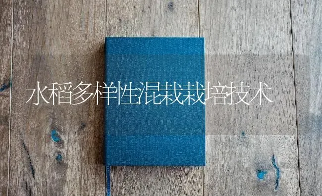 水稻多样性混栽栽培技术 | 粮油作物种植