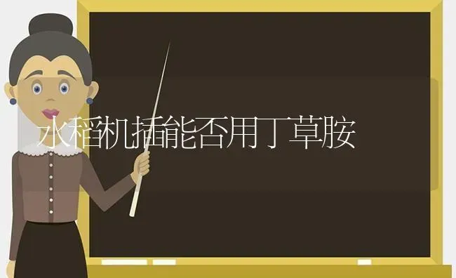 水稻机插能否用丁草胺 | 粮油作物种植