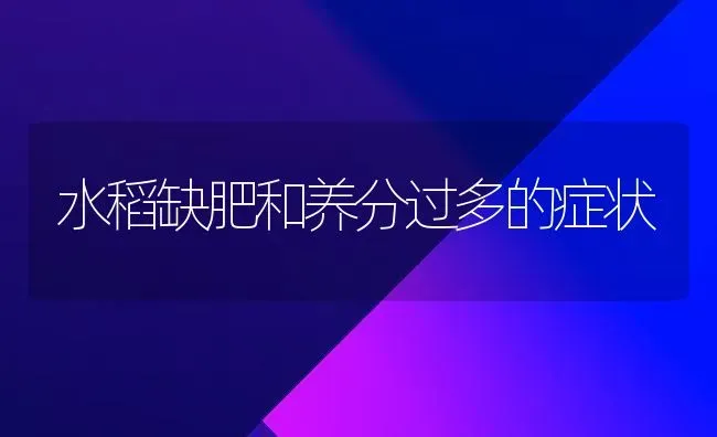 水稻缺肥和养分过多的症状 | 粮油作物种植