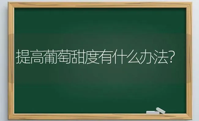 提高葡萄甜度有什么办法？ | 瓜果种植