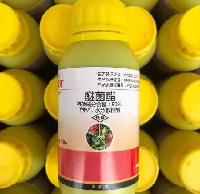喷药|醚菌酯能防治什么病害 （醚菌酯的作用和使用方法）