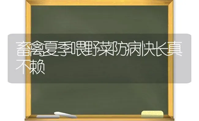 畜禽夏季喂野菜防病快长真不赖 | 蔬菜种植