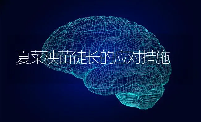 夏菜秧苗徒长的应对措施 | 蔬菜种植