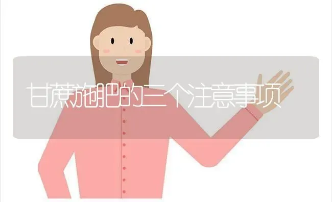甘蔗施肥的三个注意事项 | 种植肥料施肥