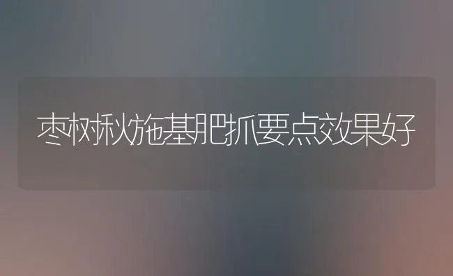 枣树秋施基肥抓要点效果好 | 瓜果种植