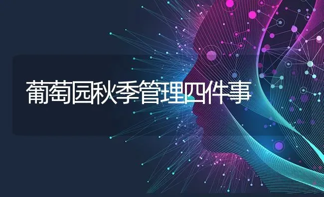 葡萄园秋季管理四件事 | 瓜果种植