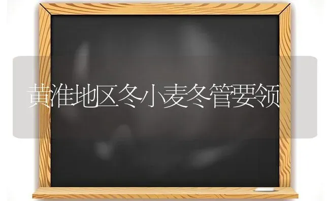 黄淮地区冬小麦冬管要领 | 粮油作物种植