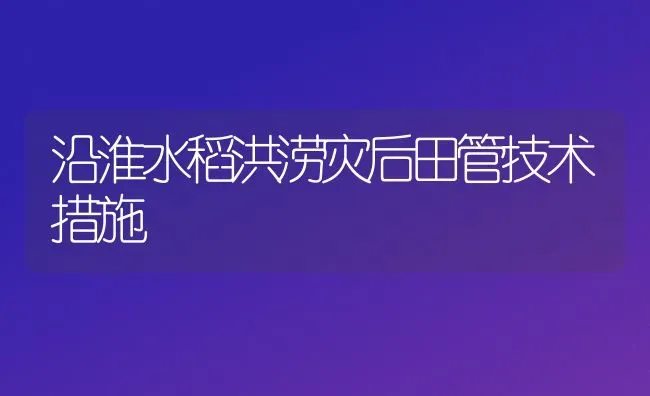 沿淮水稻洪涝灾后田管技术措施 | 粮油作物种植