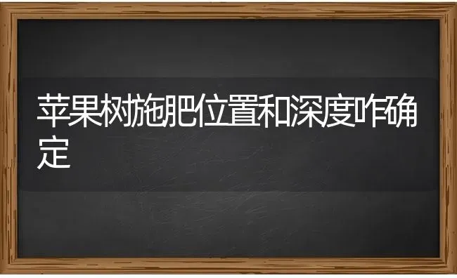 苹果树施肥位置和深度咋确定 | 瓜果种植