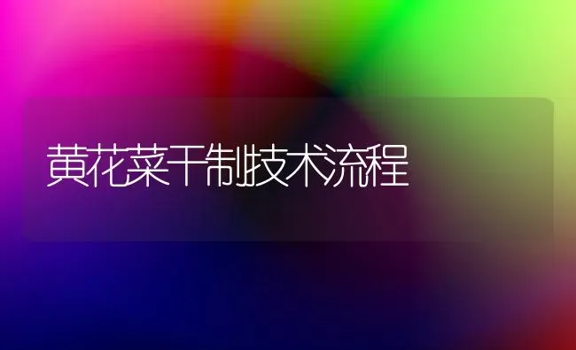 黄花菜干制技术流程 | 蔬菜种植