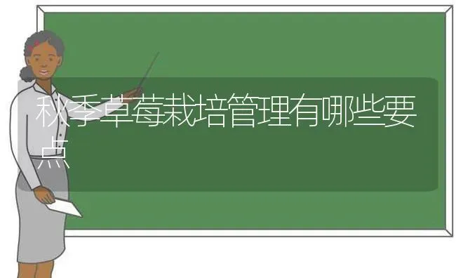 秋季草莓栽培管理有哪些要点 | 瓜果种植