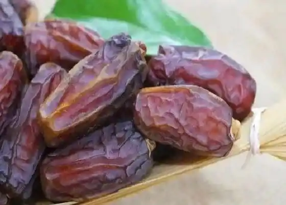 功效常识|椰枣的功效与作用及食用方法
