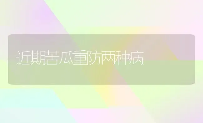 近期苦瓜重防两种病 | 蔬菜种植