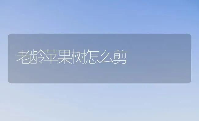 老龄苹果树怎么剪 | 瓜果种植