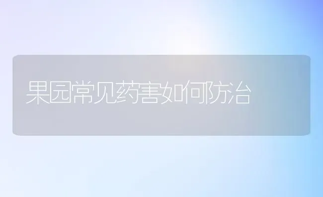 果园常见药害如何防治 | 瓜果种植