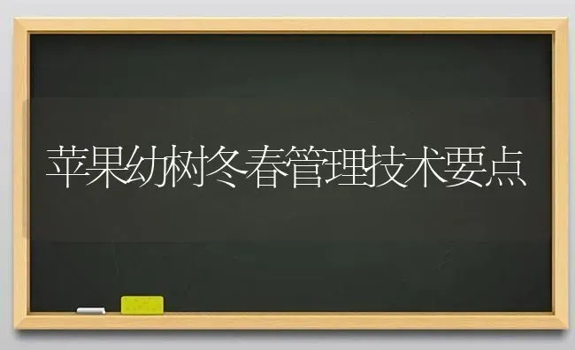 苹果幼树冬春管理技术要点 | 瓜果种植