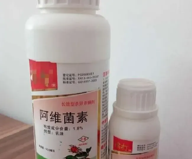 喷药|乙蒜素可以跟红蜘蛛药混合使用吗（乙蒜素跟什么农药可配）