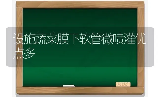 设施蔬菜膜下软管微喷灌优点多 | 蔬菜种植