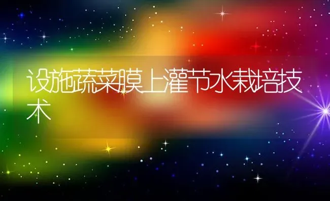 设施蔬菜膜上灌节水栽培技术 | 蔬菜种植