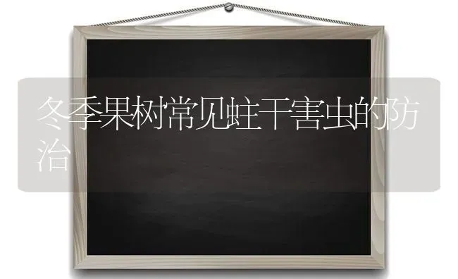 冬季果树常见蛀干害虫的防治 | 瓜果种植